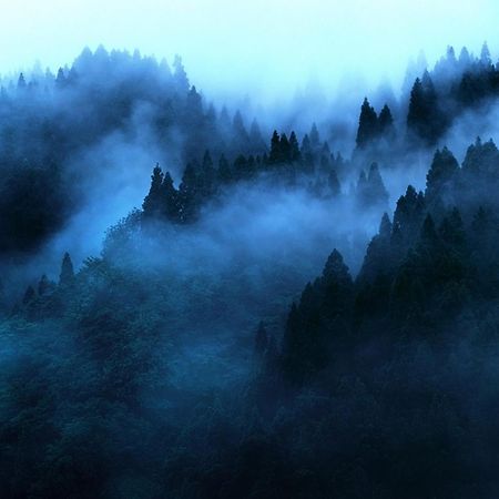 Апартаменты "Mount'N Mist" Элла Экстерьер фото