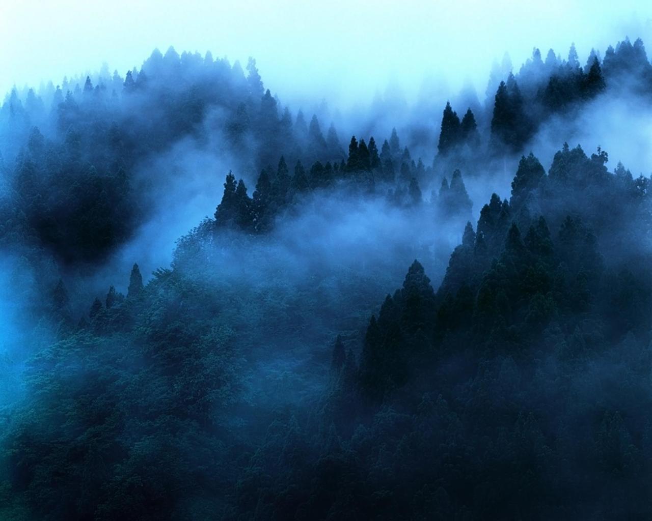 Апартаменты "Mount'N Mist" Элла Экстерьер фото